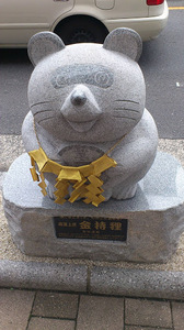 DSC_0331.jpg