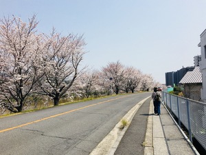 IMG_4461.jpg