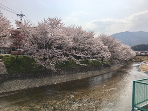 IMG_4475.jpg
