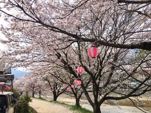 IMG_4476.jpg