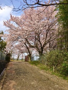 IMG_4478.jpg