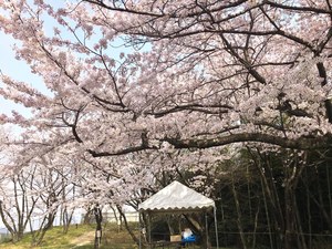 IMG_4479.jpg